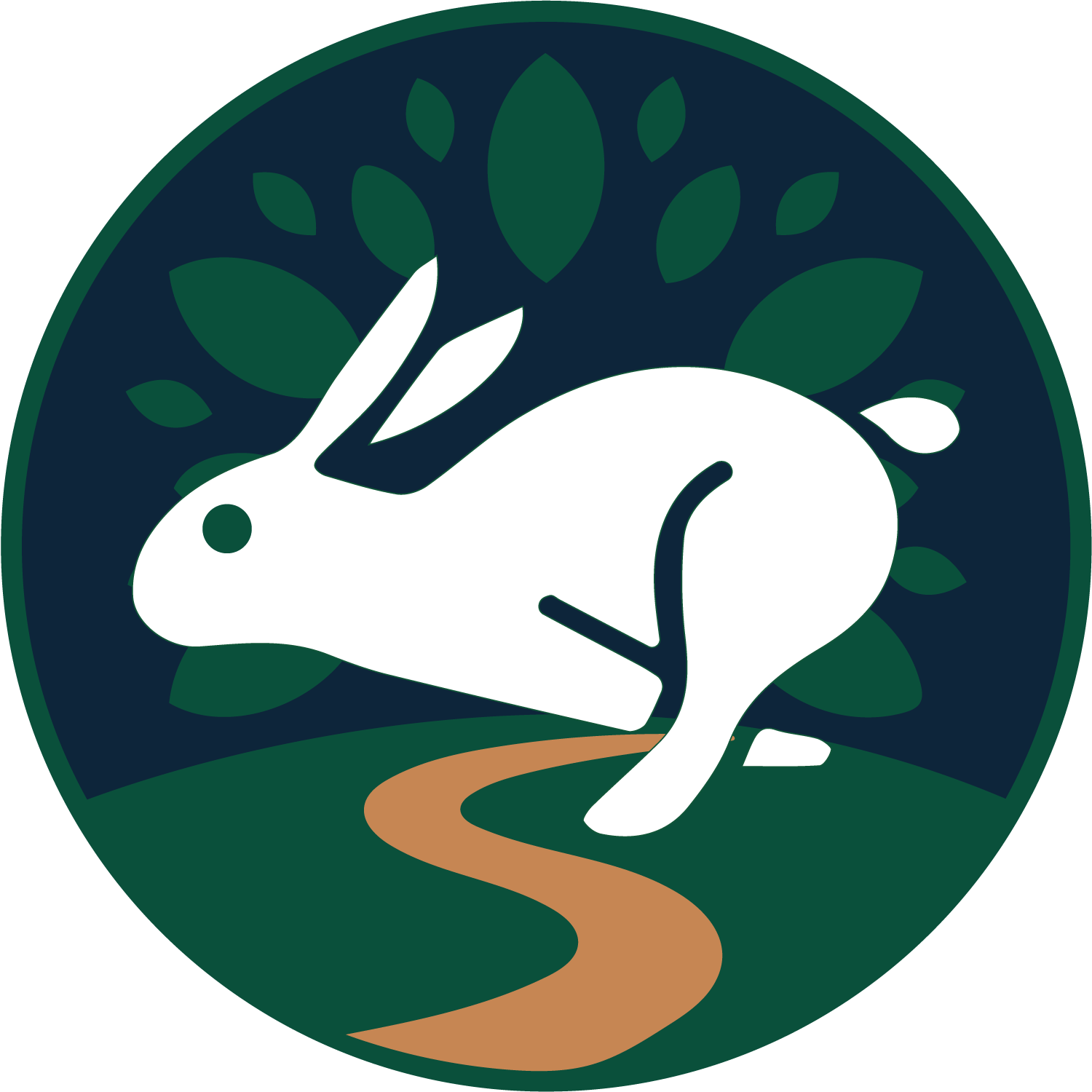 RABBIT & TRAIL